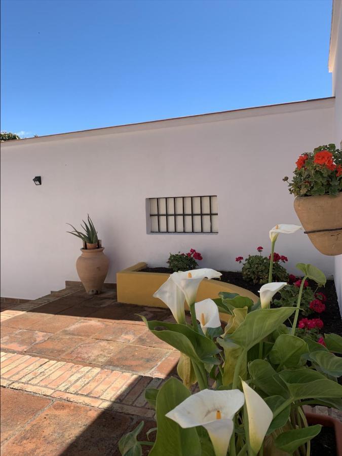 Encantador Apartamento-Centrico-Con Amplio Jardin توريمولينوس المظهر الخارجي الصورة