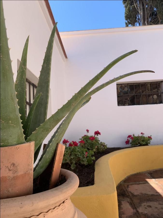 Encantador Apartamento-Centrico-Con Amplio Jardin توريمولينوس المظهر الخارجي الصورة