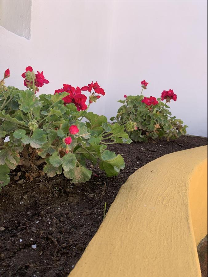 Encantador Apartamento-Centrico-Con Amplio Jardin توريمولينوس المظهر الخارجي الصورة